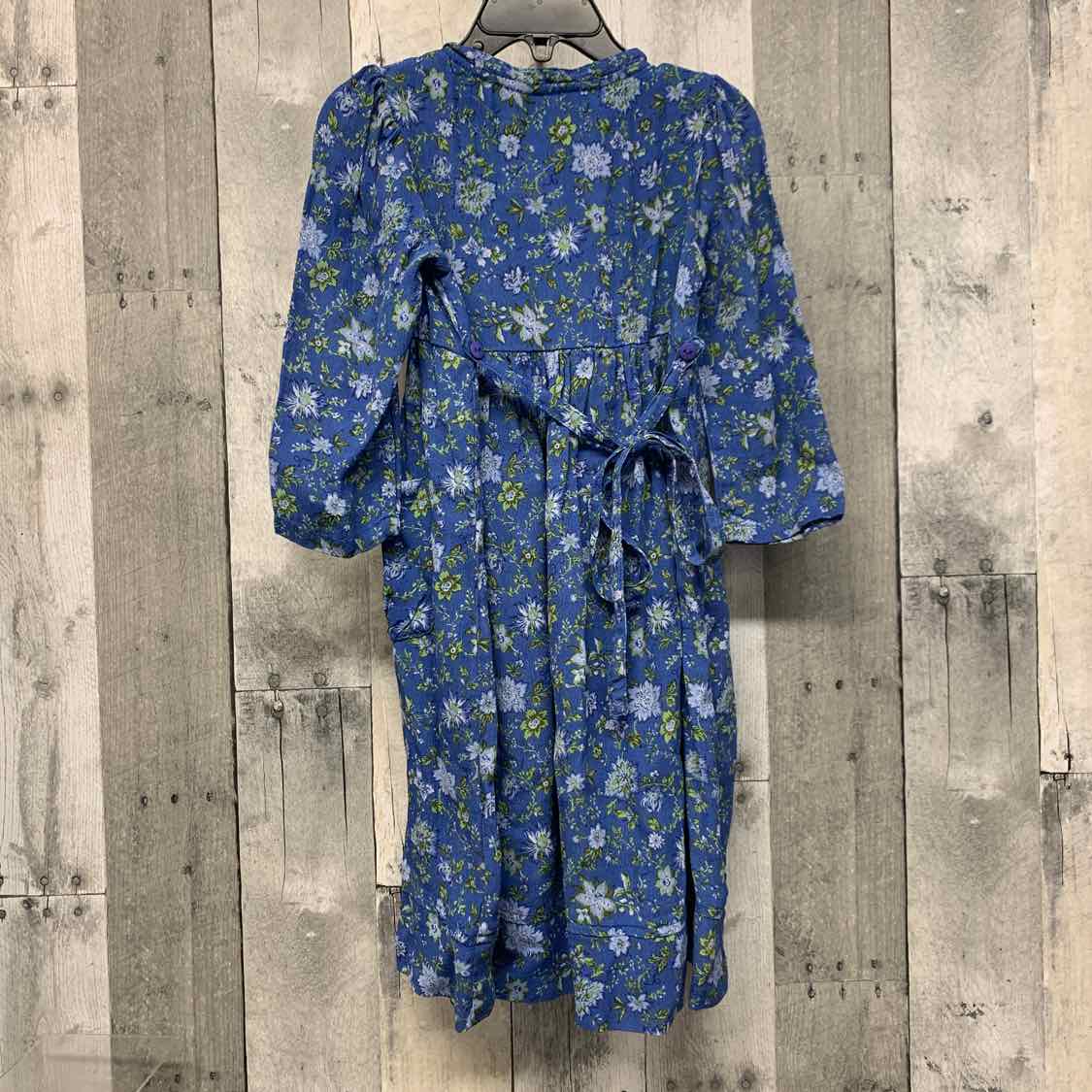 Size 3/4 Blue Floral Print B Brand LS Dress