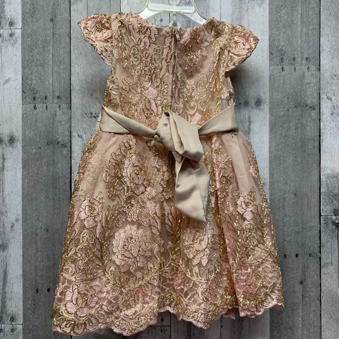 Size 2T Pink/Gold Rare Editions Dress - Party