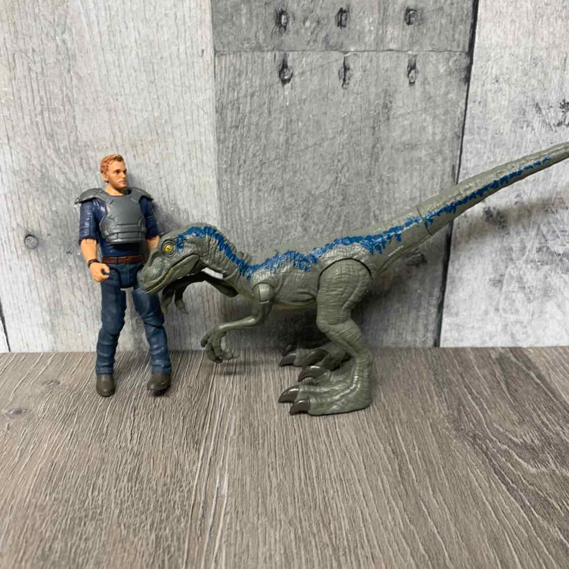 Jurassic Park Blue/Gray Dino