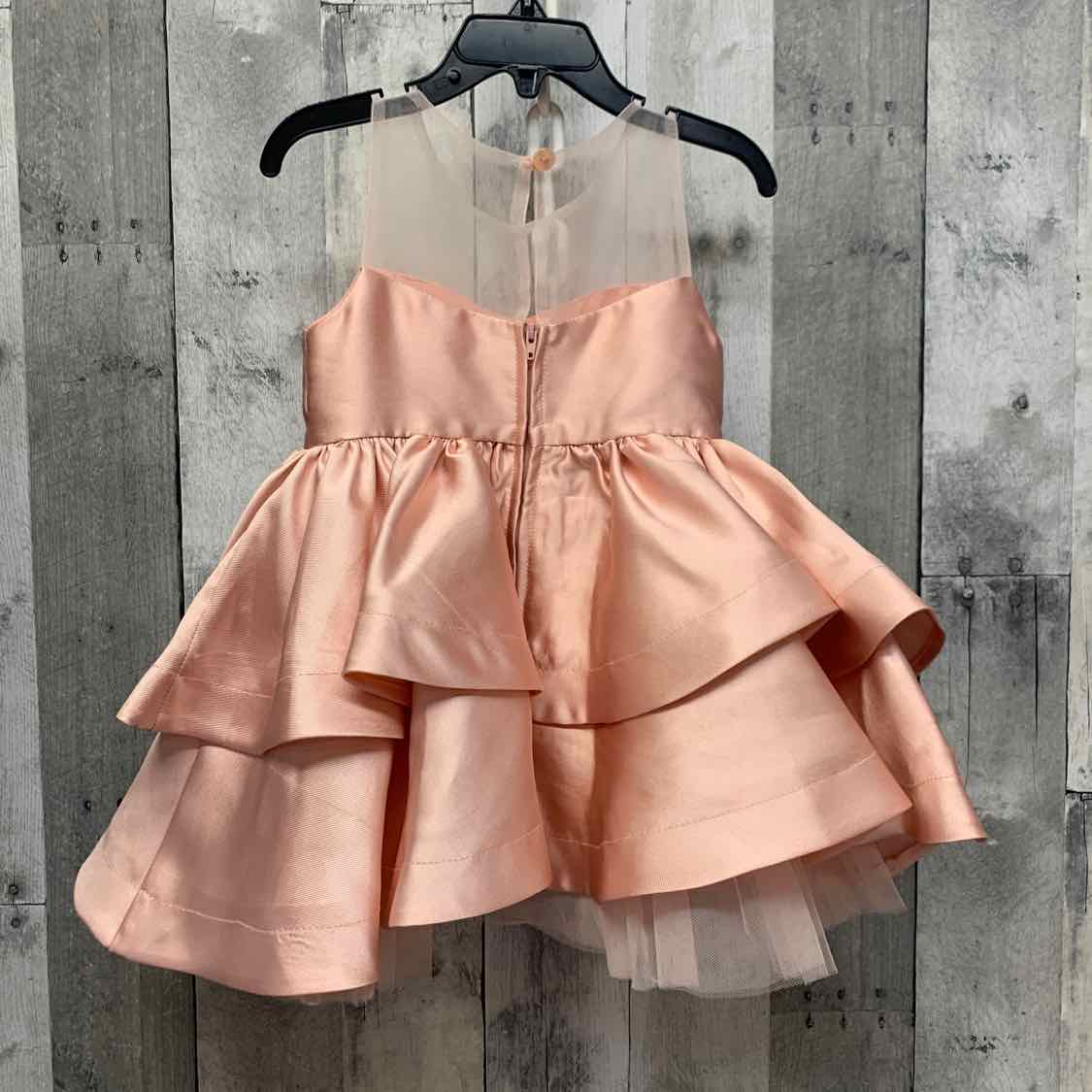 Size 2T Pink Rare Editions Dress - Party