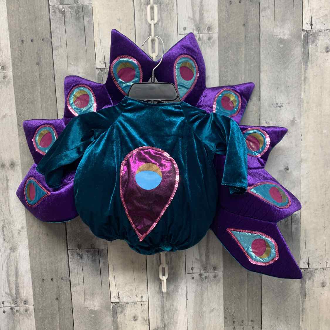 Teal/Purple Size 6-12 Months Halloween Costume - Little Kid