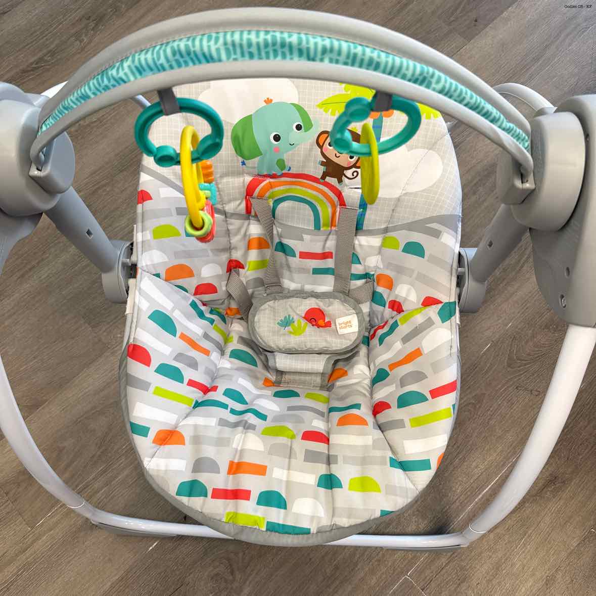 Bright Starts Gray/Green Swing