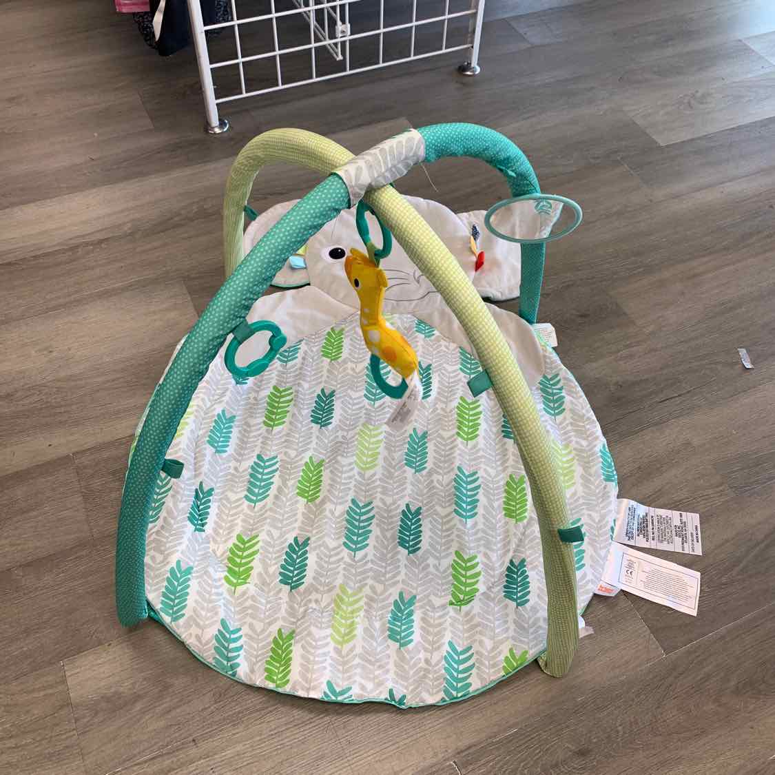 Bright Starts Gray/Green Floor Gym