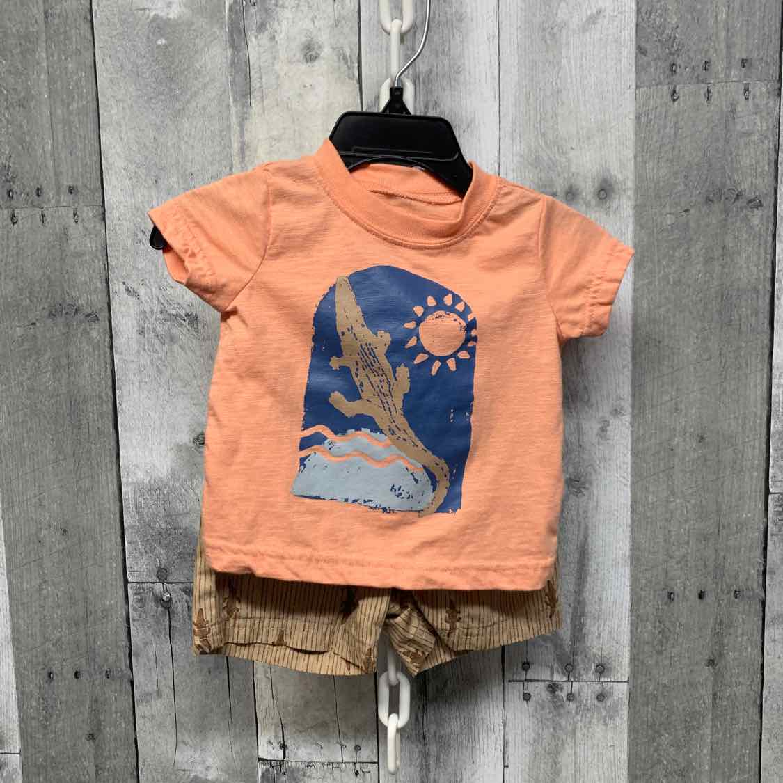 Size 3-6 Months Orange/Tan Carter's Shirt/Shorts