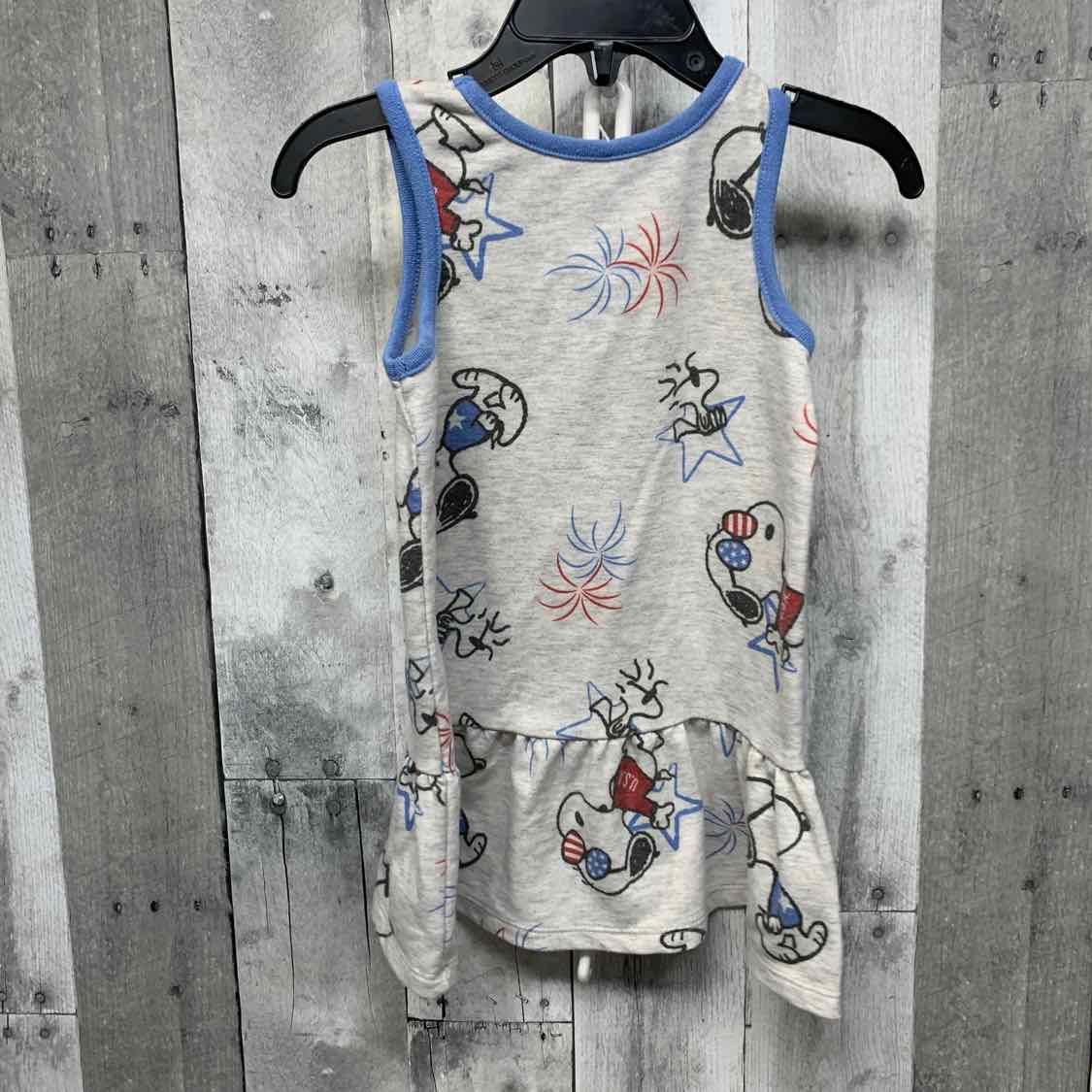 Size 18 Months Gray Print Peanuts Dress - Knit