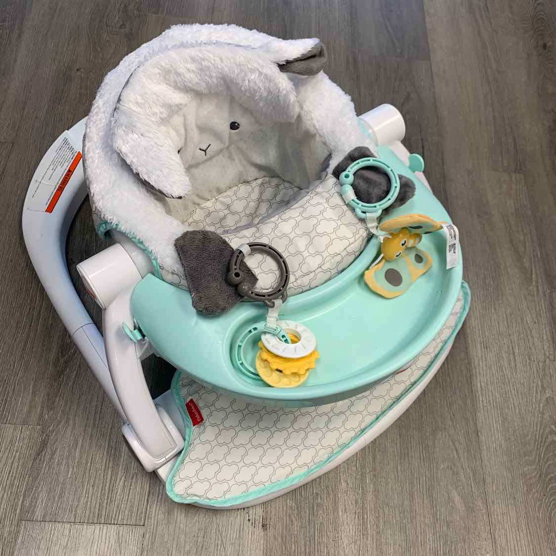 Fisher Price White/Teal Lamb Infant Seat
