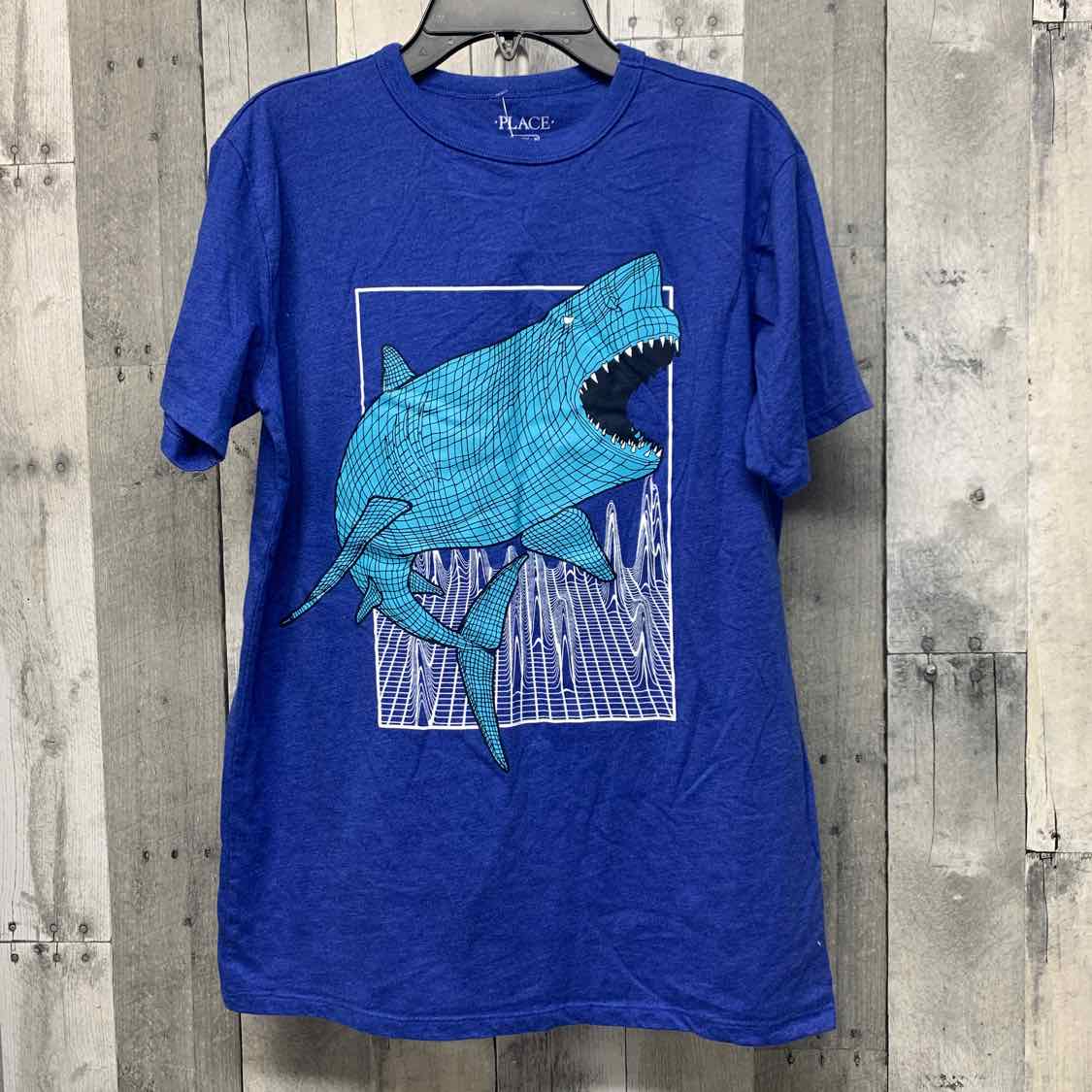 Size 16 Blue Graphic Children's Place T Shirt