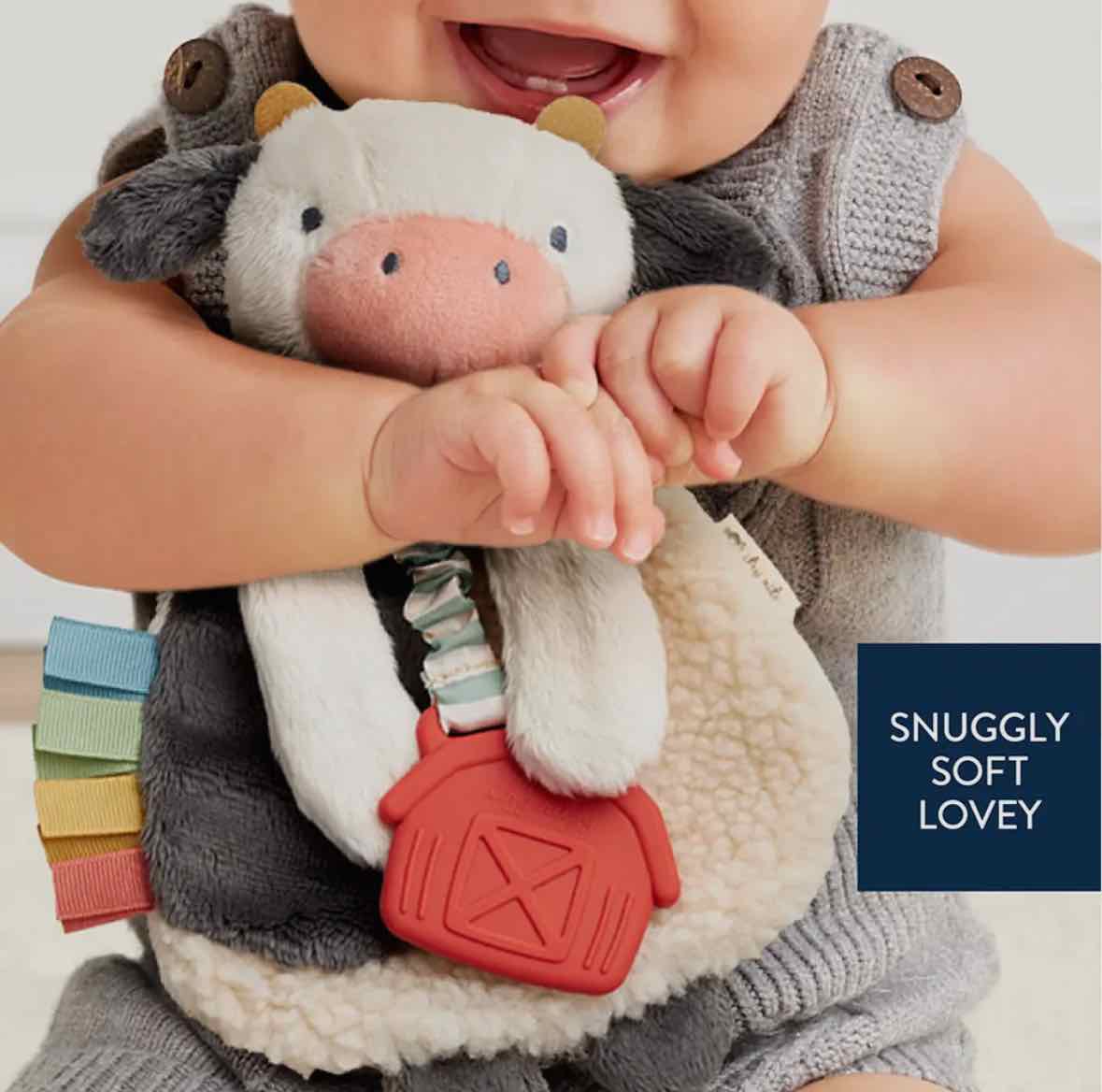 Itzy Ritzy Lovey Plush with Silicone Teether - More Options