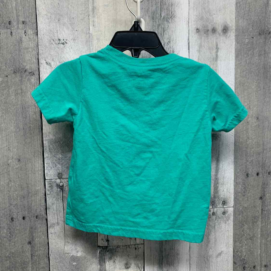 Size 18 Months Green/Navy Champion T Shirt