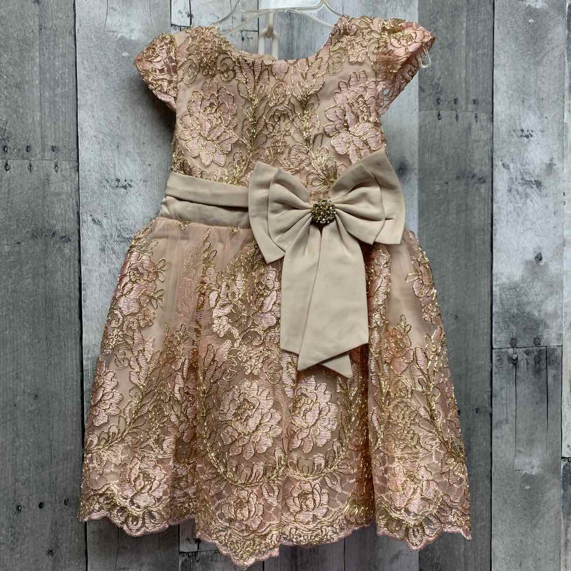Size 2T Pink/Gold Rare Editions Dress - Party