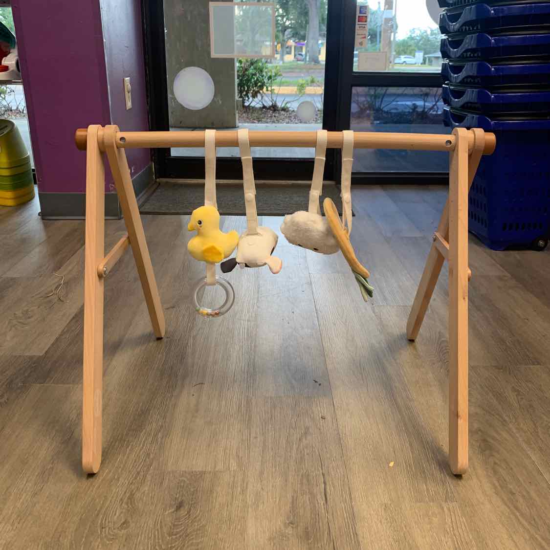 Generic Wooden Floor Gym