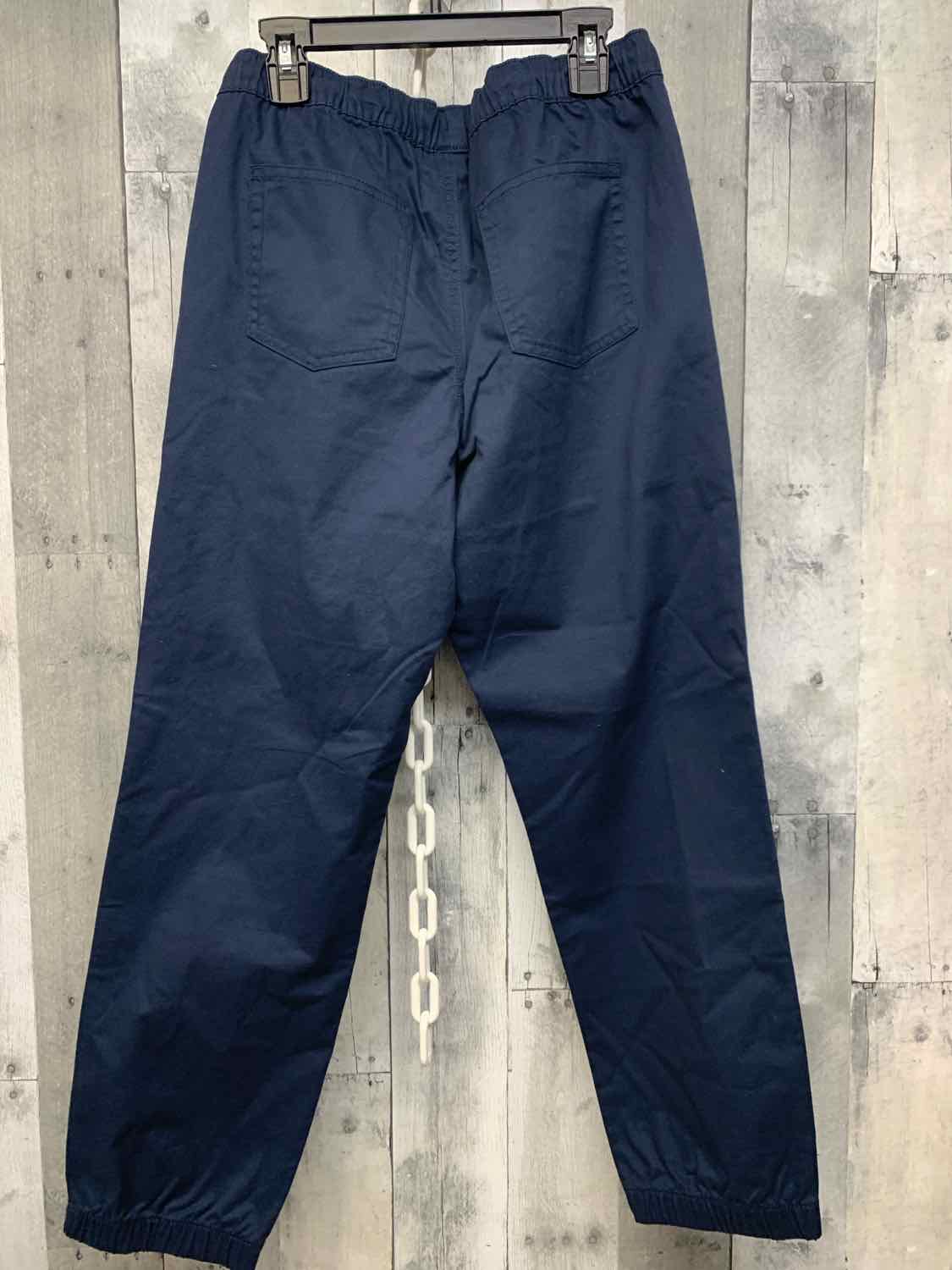 Size 14 Navy Cat & Jack Pants