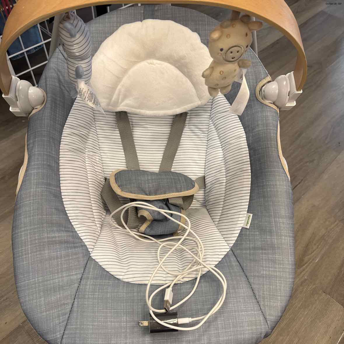 Ingenuity Gray/White Swing w/ Pwr Plug