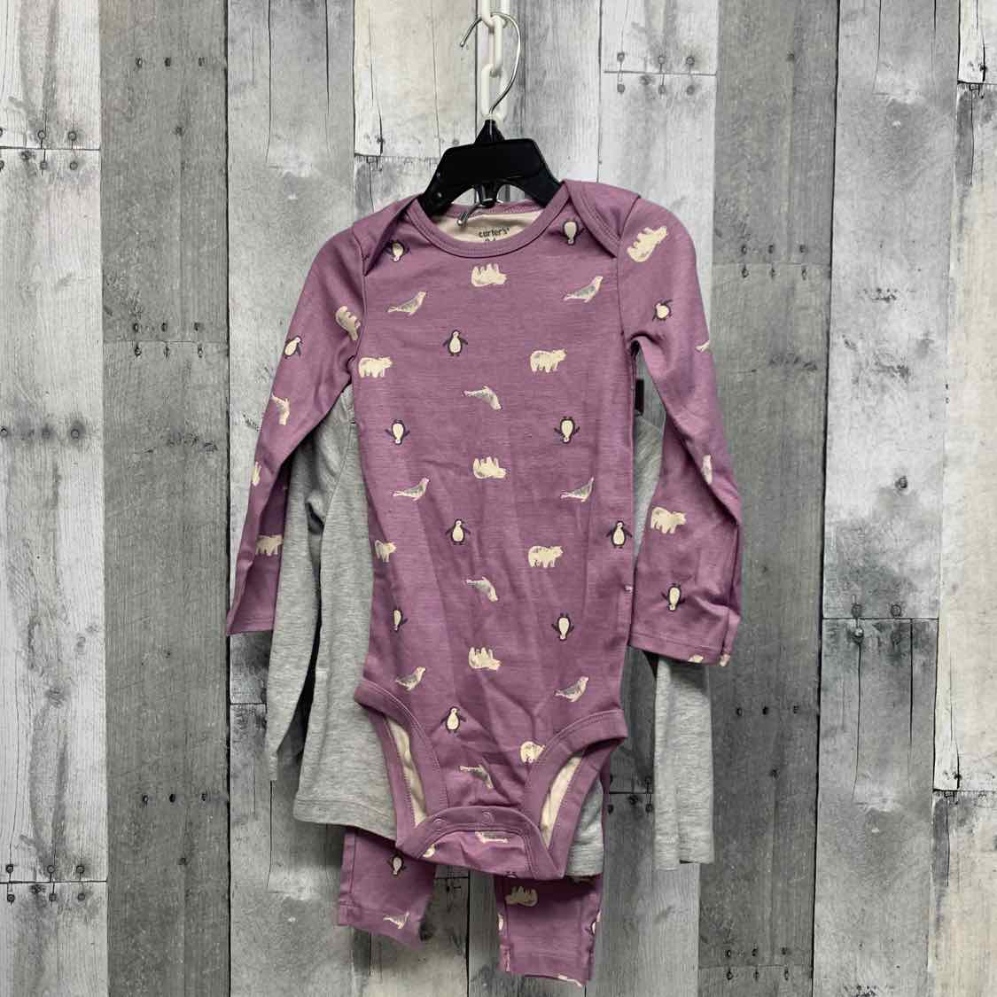 Size 24 Months Purple/Gray Carter's Shirt/Leggings
