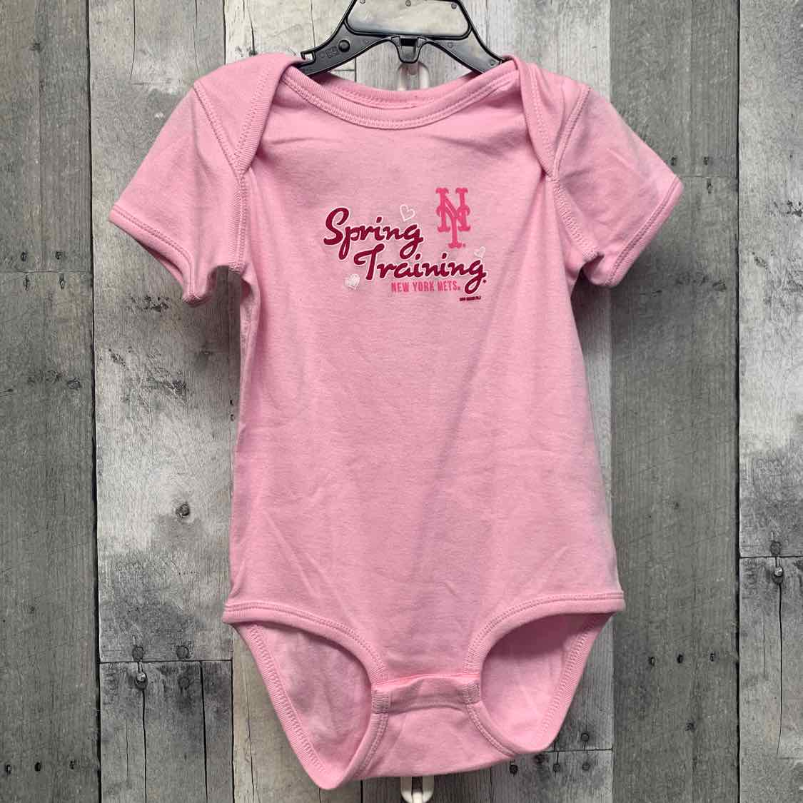 Size 24 Months Pink Graphic Rabbit Skins Bodysuit