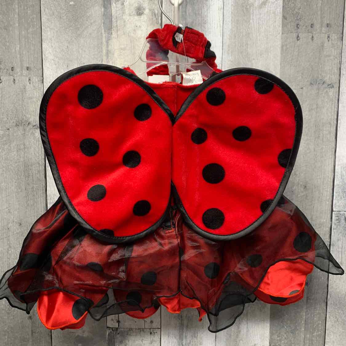 Koala Baby Red/Black Size 6-9 Months Halloween Costume - Little Kid