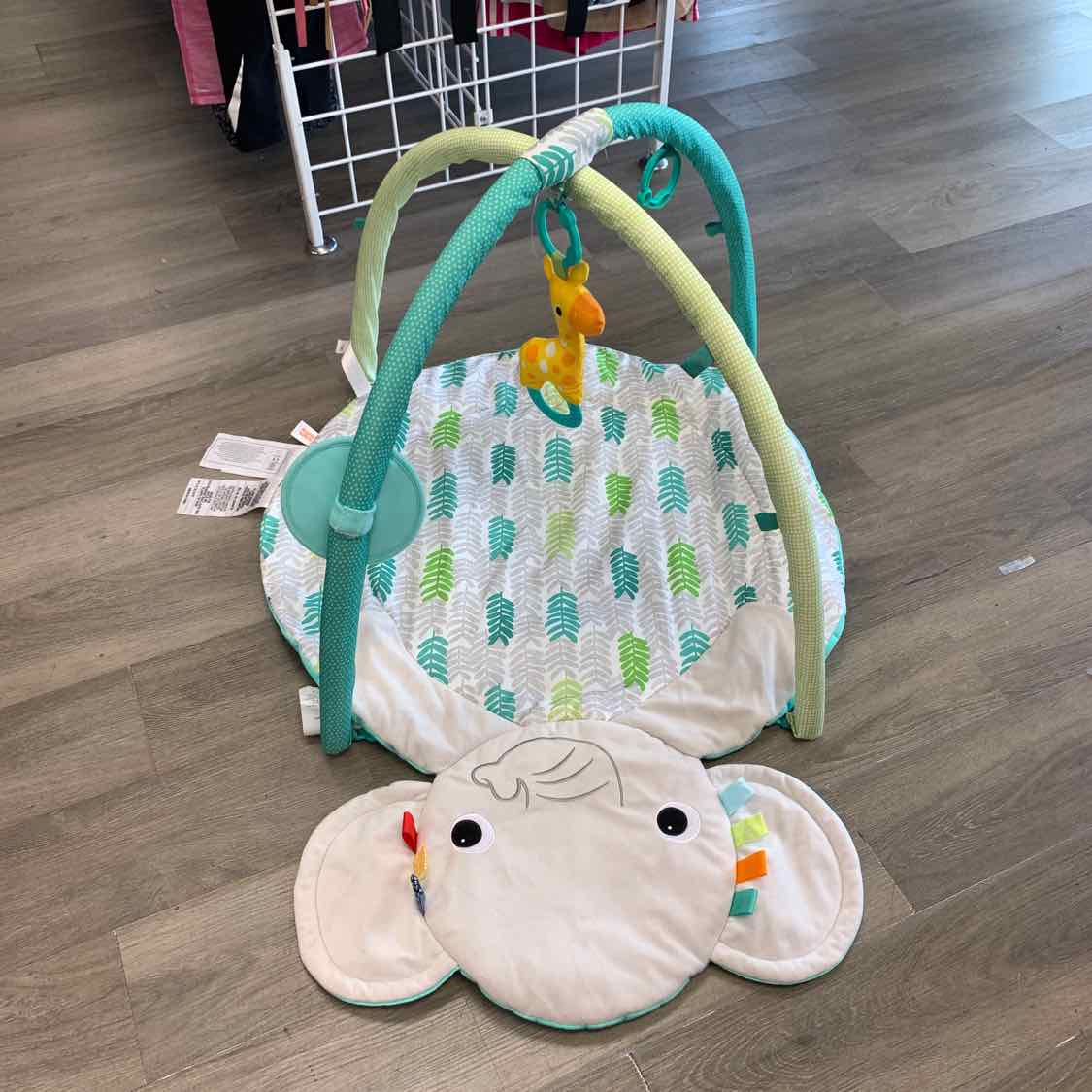 Bright Starts Gray/Green Floor Gym