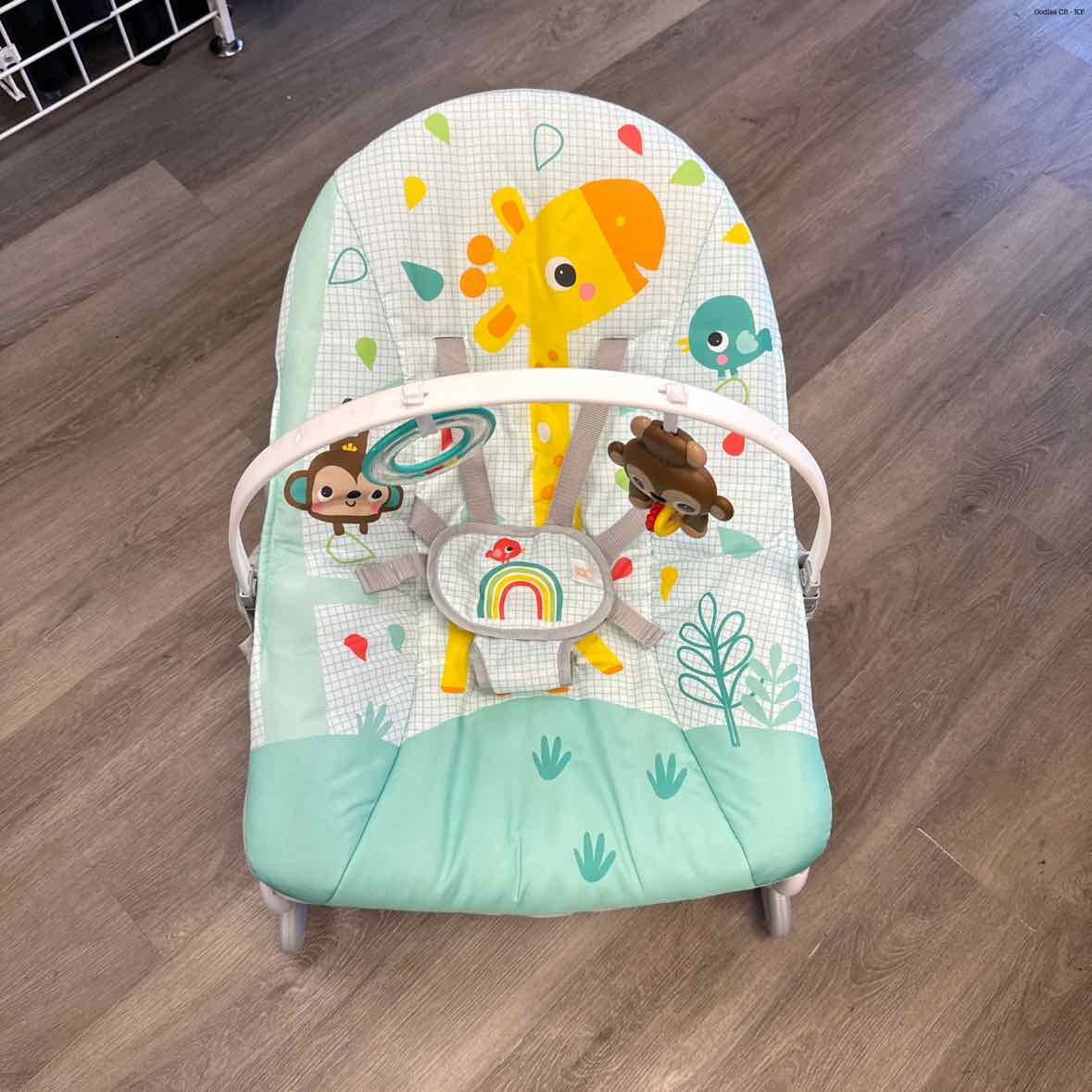 Bright Starts Teal/White Rocker