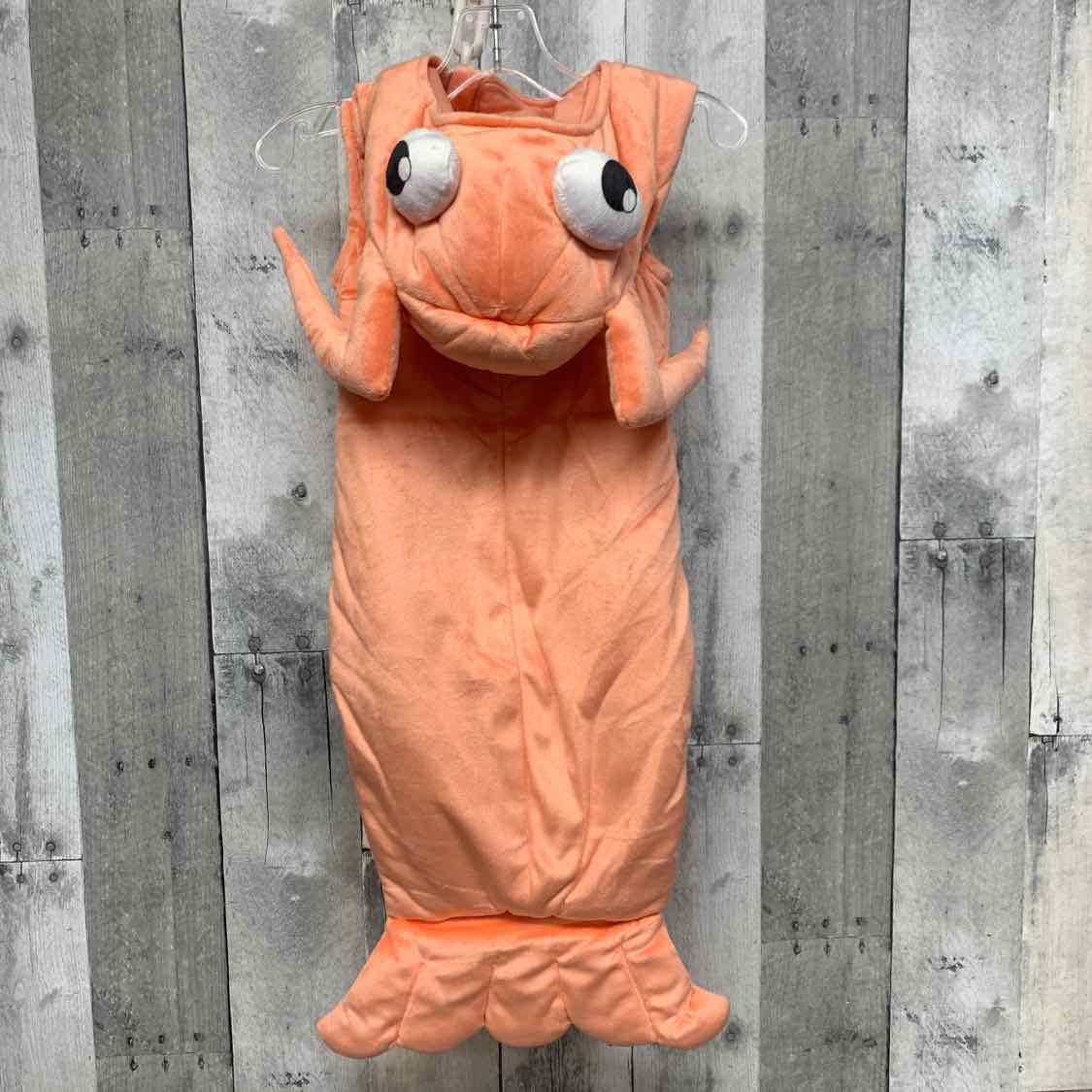 Spirit Orange Size 0-6 Months Halloween Costume - Little Kid