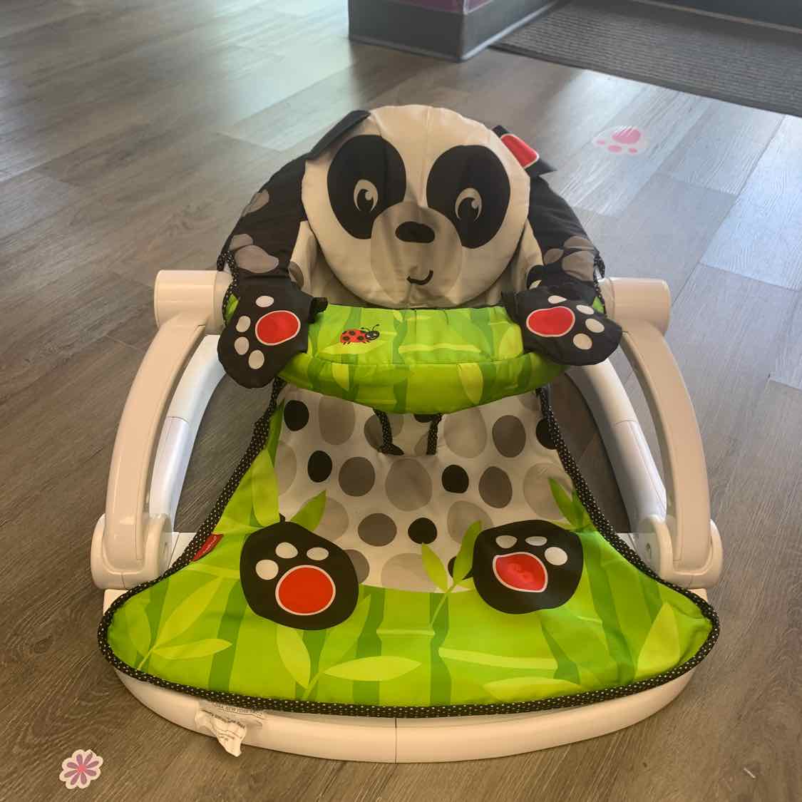 Fisher Price Black/Green Infant Seat