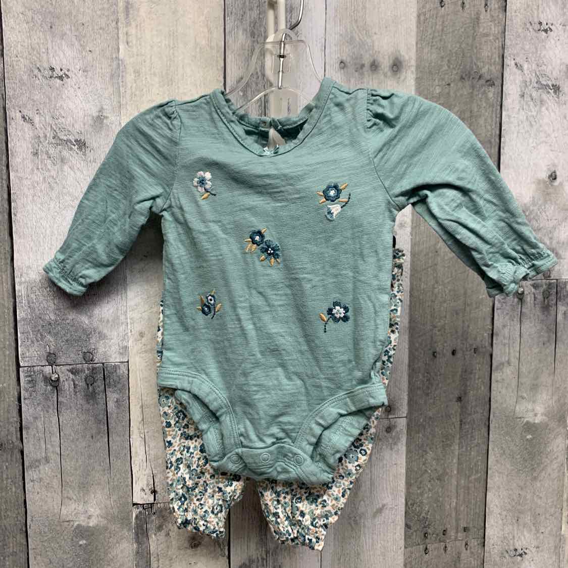 Size 3 Months Blue Floral Print Carter's Shirt/Pants