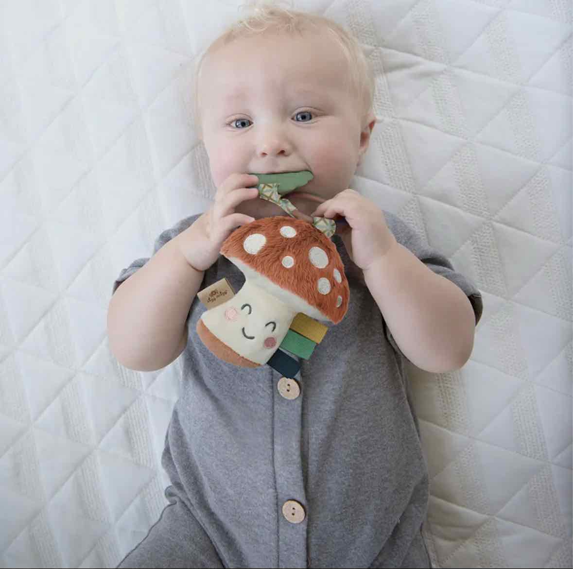 Itzy Ritzy Pal Plush + Teether - More Options - OodlesCB