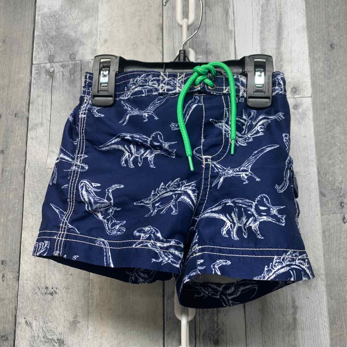 Size 18 Months Navy/Green Carter's Swim Trunks