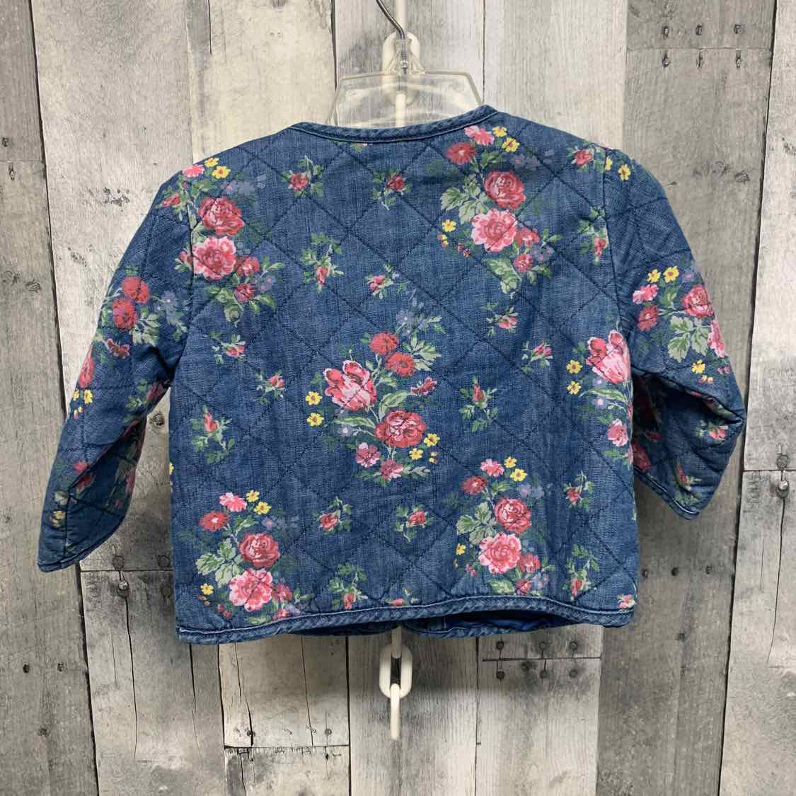 Size 6-12 Months Blue/Pink Gap Light Jacket