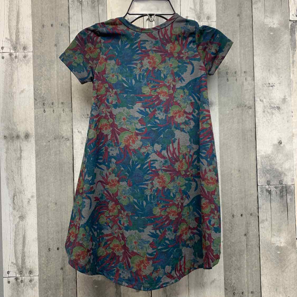 Size 4 Gray/Blue LulaRoe Dress
