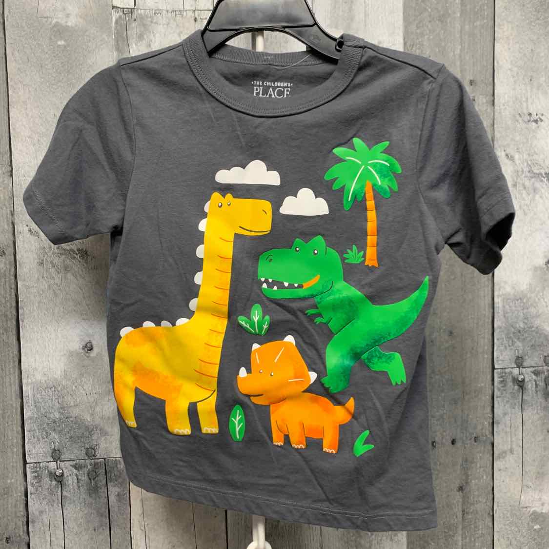 Size 3T Gray Graphic Children's Place T Shirt