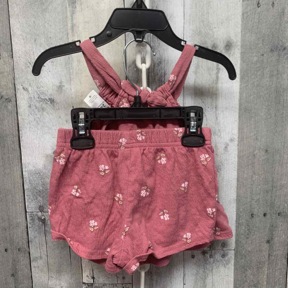 Size 24 Months Pink Print Carter's Shirt/Shorts