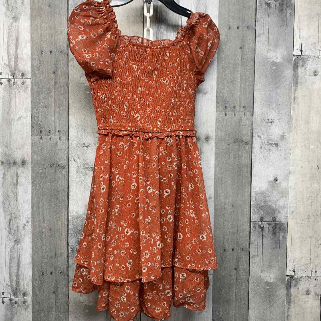Size 12 Brown Floral Print Rare Editions Dress