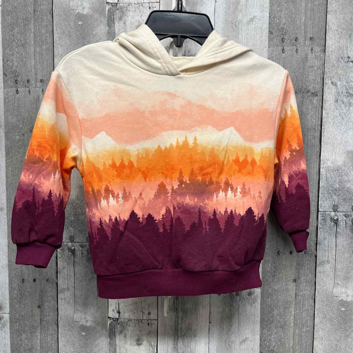 Size 4T Orange/Purple Old Navy Pull Over