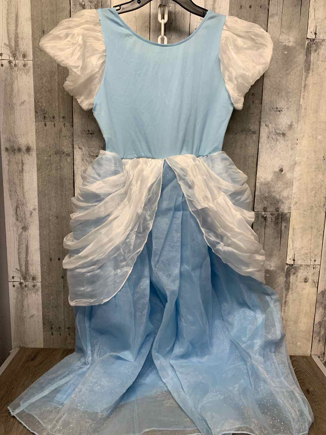 Disney Blue Size 13 Halloween Costume - Big Kid